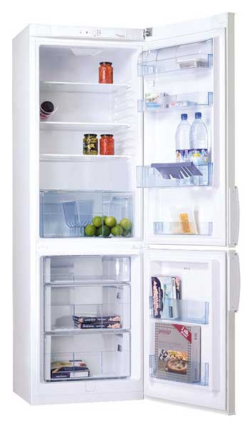 Lodówka wolnostojąca Amica FK 322 BPW