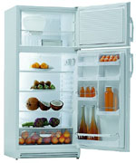 Lodówka wolnostojąca Gorenje RF 6276 W / K 257 CLA