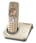 Telefon bezprzewodowy Panasonic KX-TG7200PDJ