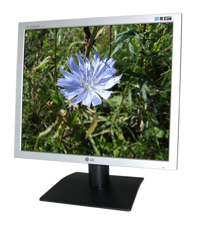 Monitor LCD LG FlatronLCD L1919S