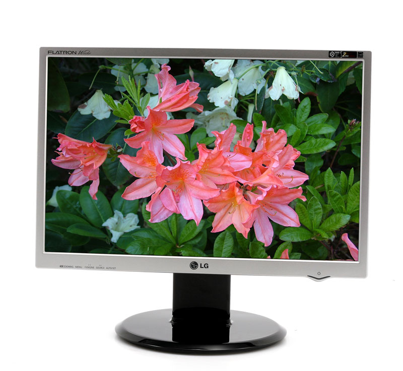 Monitor LCD LG Flatron L196WTQ-SF