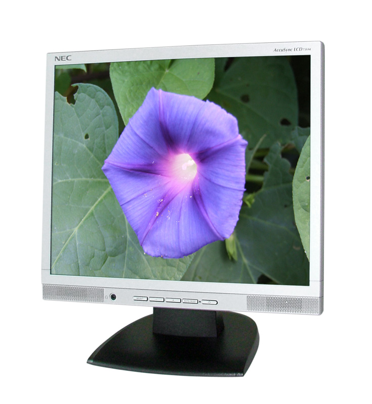 Monitor LCD Nec AccuSync 73VM