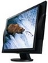 Monitor LCD Eizo M1950-K