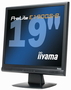 Monitor LCD iiyama ProLite PLE1900S-B2