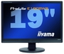 Monitor LCD iiyama PLE1908WS-B1