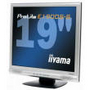Monitor LCD iiyama ProLite E1900S-S2