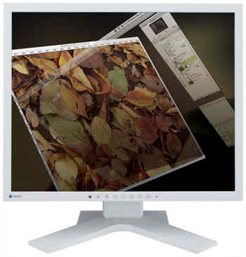 Monitor LCD Eizo S1701SHG