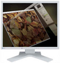 Monitor LCD Eizo S1701SHG