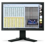 Monitor LCD Eizo 20.1'' S2001W