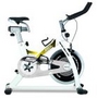 Rower treningowy spiningowy BH Fitness SB1