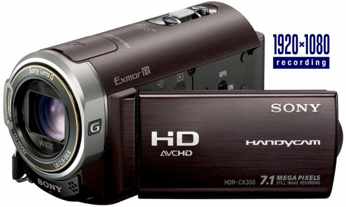 Kamera cyfrowa Sony HDR-CX350VET