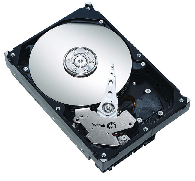 Dysk twardy Seagate 250GB ST3250310AS SATA II 8MB