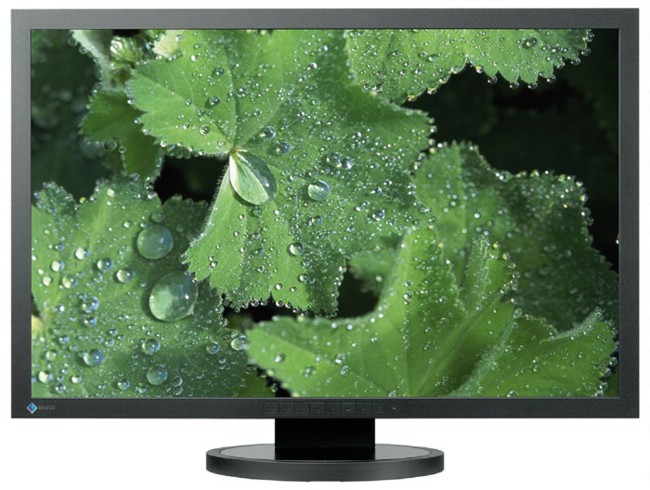Monitor LCD Eizo SX3031W