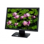 Monitor Acer V193WLb