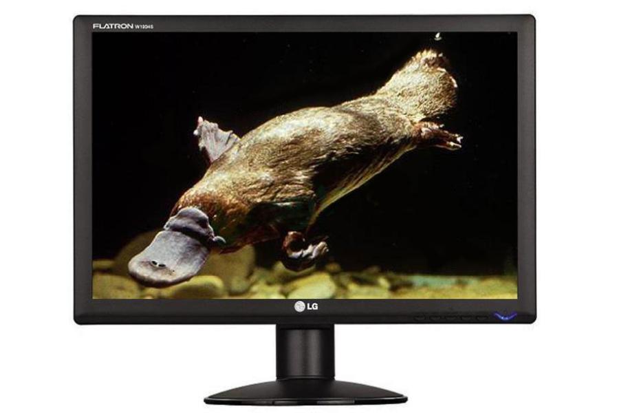 Monitor LCD LG W1934S-BN